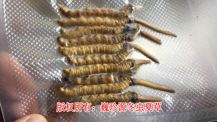 ��a(ch��n)���x�Ĳ�,�����r���x�Ĳ����г��ڳ��F(xi��n)�锵(sh��)���ٵ���a(ch��n)���x�Ĳ�