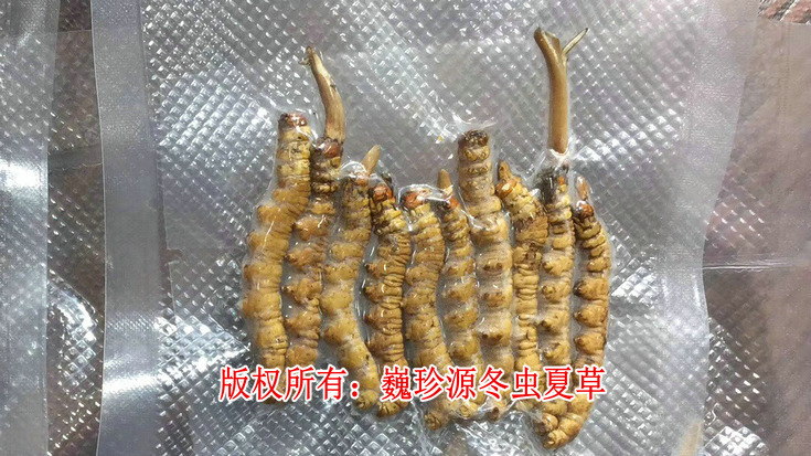 ��a(ch��n)���x�Ĳ�,�����r���x�Ĳݲ������г���,�О锵(sh��)���ٵ���a(ch��n)���x�Ĳ������Ј�